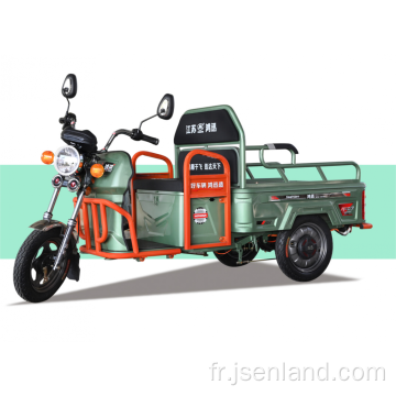 1000w60v passager et cargo adulte tricycle électrique